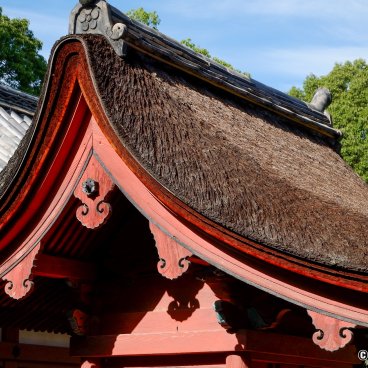 Dogo Onsen (Matsuyama), Detail of the roof of Isaniwa-jinja shrine