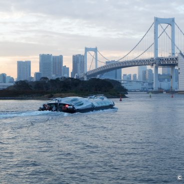 Hotaluna Cruise (Tokyo), View on the Himiko and the Rainbow Bridge