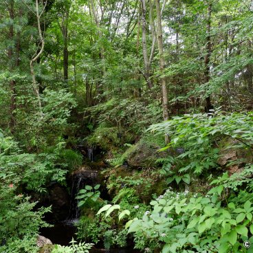 Makino Botanical Garden (Kochi), Waterfall at the entrance of the garden
