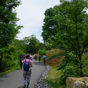 Makino Botanical Garden (Kochi), Flowered alleys in early summer