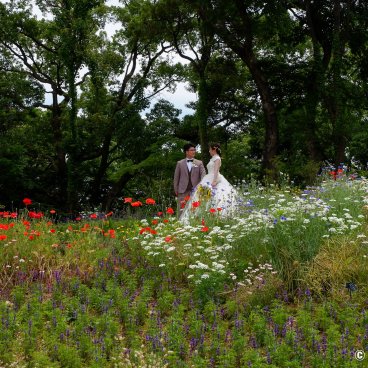 Makino Botanical Garden (Kochi), Newlywed couple posing in the garden's flowered alleys 2
