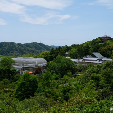 Makino Botanical Garden (Kochi), View on the Conservatory greenhouse and Kyuchikurin-in temple