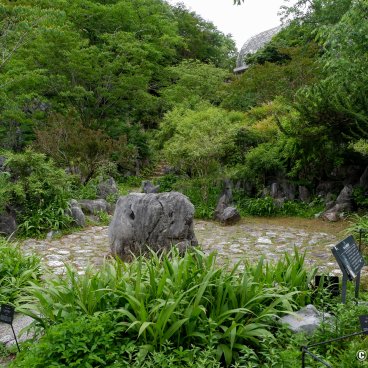 Makino Botanical Garden (Kochi), Rock garden
