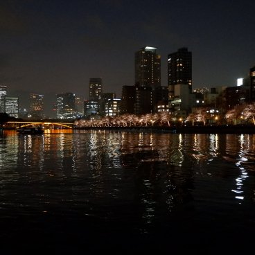 Osaka River Fantasy, Night cruise on the Okawa river
