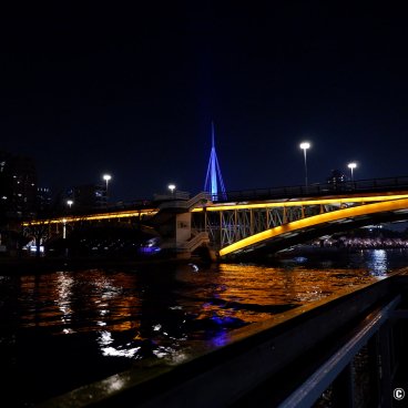 Osaka River Fantasy, Night cruise on the Okawa river 2