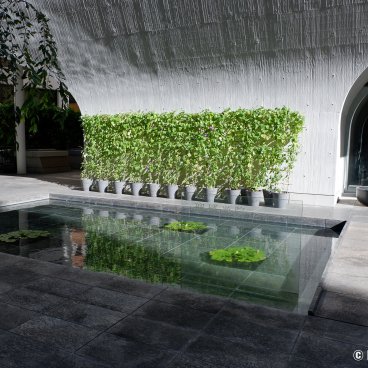 Shinjuku Ruriko-in Byakurenge-do (Tokyo), Lotus pond and entrance of the temple