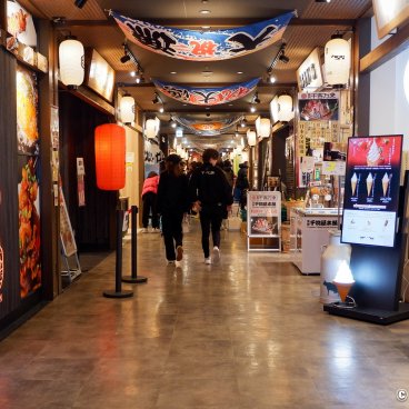 Toyosu Senkyaku Banrai (Tokyo), Mekiki Yokocho indoor alley