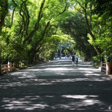 Atsuta-jingu (Nagoya), Green alley of the shrine