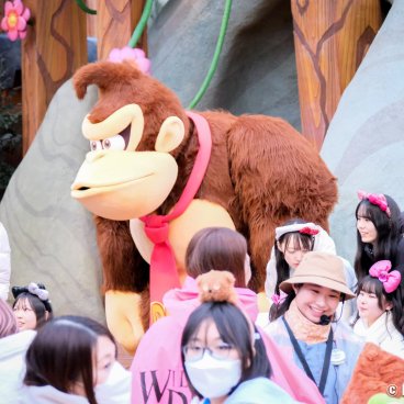 Donkey Kong Country (USJ, Osaka), Photo shoot session with Kong