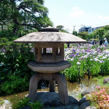  Horikiri Shobu-en (Tokyo), Lantern in the Japanese garden