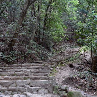 Matsuyama Castle (Shikoku), Stairway to Shiroyama Park