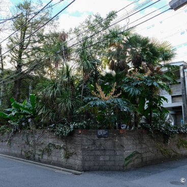 Taro Okamoto Memorial Museum (Tokyo), Streetview of the museum