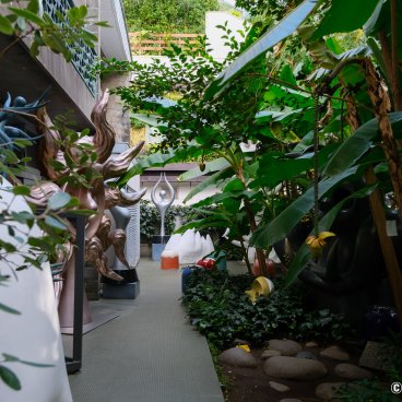 Taro Okamoto Memorial Museum (Tokyo), View on the garden