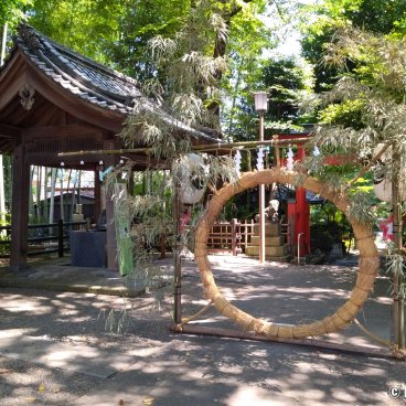 Toshincho Hikawa-jinja (Tokyo), Chinowa grass ring for Nagoshi no Harae (June 30th)