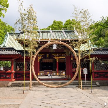 Nezu-jinja (Tokyo), Chinowa grass ring set up for Nagoshi no Harae (June 30th) 2