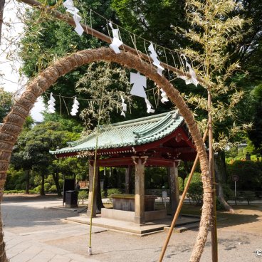 Nezu-jinja (Tokyo), Chinowa grass ring set up for Nagoshi no Harae (June 30th) 3