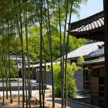 Kosho-ji (Nagoya), Bamboos in the temple's inner garden