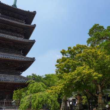 Kosho-ji (Nagoya), View on the 5-story pagoda and the temple's vegetation