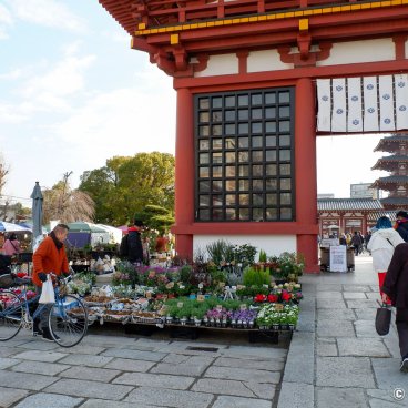 Shitenno-ji Flea Market (Osaka), Flower stall