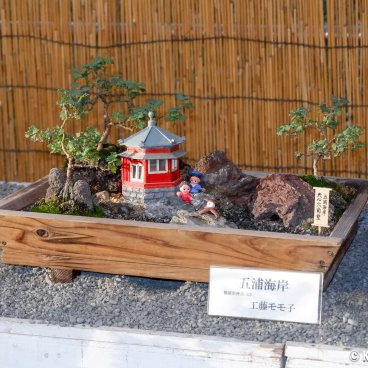 Meiji-jingu (Tokyo), Chrysanthemum bonsai exhibition for Kiku Matsuri 2