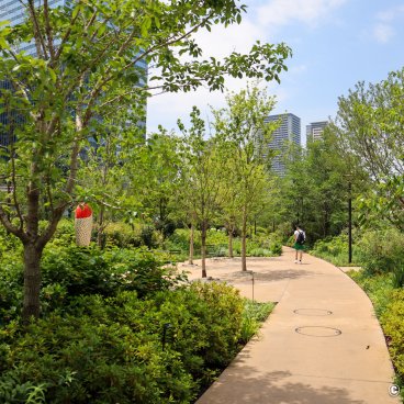 Grand Green Osaka (Umeda), Walking path lined with trees that crosses the complex