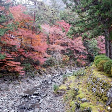 Kuon-ji (Minobu), Nishi-dani forest valley in autumn