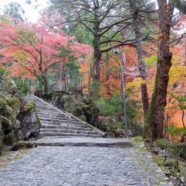 Kuon-ji (Minobu), Stairway to Nichiren Shonin Mausoleum