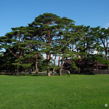 Hakodate (Hokkaido), Travel destination for the Silver Week holidays in September