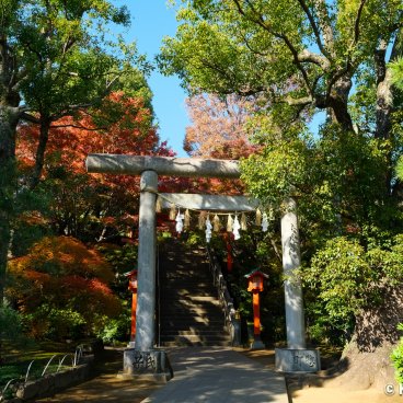 Waseda (Tokyo), Ana Hachiman-gu shrine 2