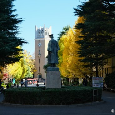 Waseda University (Tokyo), Statue of Shigenobu Okuma and gingko trees in autumn
