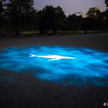 Hamarikyu Tsukimi Sanpo (Tokyo), Video mapping themed on the sea on the garden's walking path