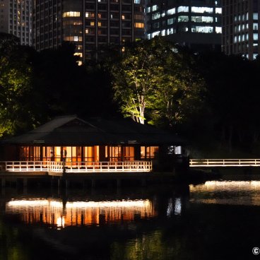 Hamarikyu Tsukimi Sanpo (Tokyo), Night view on Nakajima-no-Ochaya tea house