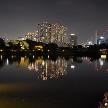 Hamarikyu Tsukimi Sanpo (Tokyo), Night view on Shioiri-no-ike pond and Shiodome's skyscrapers