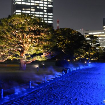 Hamarikyu Tsukimi Sanpo (Tokyo), Special light-up and smokes on the garden's alleys