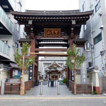 Asakusa (Tokyo), Grounds of Chokoku-ji temple in the beginning of the year