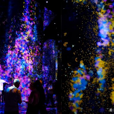 teamLab Biovortex Kyoto, Flowers and People, Cannot be Controlled but Live Together