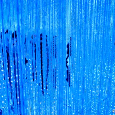 teamLab Biovortex Kyoto, Black Waves: Crystal World