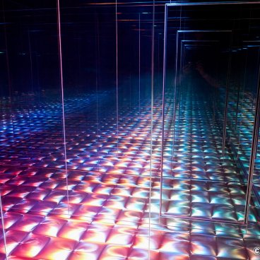 teamLab Biovortex Kyoto, Transient Abstract Life and Return