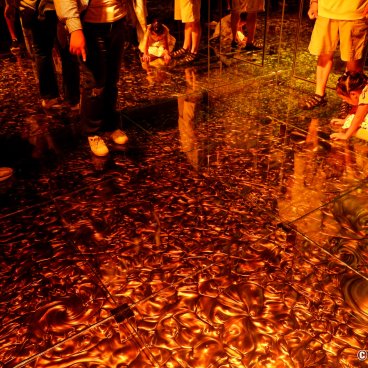 teamLab Biovortex Kyoto, Transient Abstract Life and Return 2