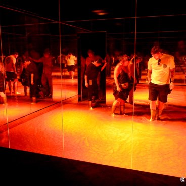 teamLab Biovortex Kyoto, Transient Abstract Life and Return 3