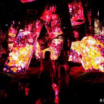 teamLab Biovortex Kyoto, Megaliths in the Eternal Existence of the Open Universe