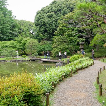 Kyu Furukawa Teien (Tokyo), Walking path hugging Shinji-ike pond in the Japanese garden