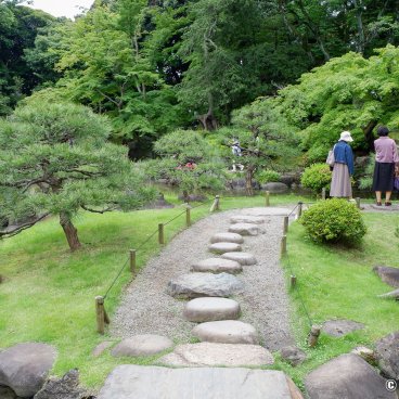 Kyu Furukawa Teien (Tokyo), Walking path hugging Shinji-ike pond in the Japanese garden 2