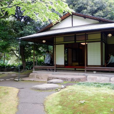 Kyu Furukawa Teien (Tokyo), Matcha tea tasting at the tea pavilion in the Japanese garden 
