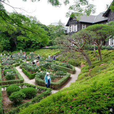 Kyu Furukawa Teien (Tokyo), View on the rose garden in front of the former Furukawa residence
