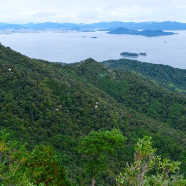Mount Misen (Miyajima), View on the primeval forest, the Seto Inland Sea and Hiroshima from Shishi-Iwa Observatory