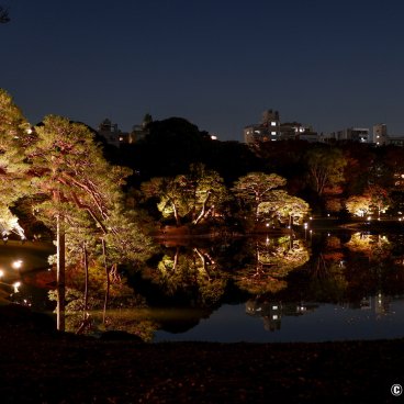 Autumn Illuminations in Rikugi-en (Tokyo), Night view of the Japanese garden around the main pond 2
