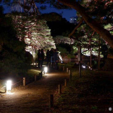 Autumn Illuminations in Rikugi-en (Tokyo), Walking path lit-up for the night opening