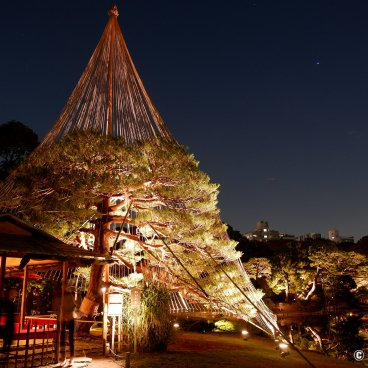 Autumn Illuminations in Rikugi-en (Tokyo), Night view on Fukiage-chaya teahouse 3