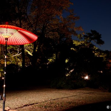 Autumn Illuminations in Rikugi-en (Tokyo), Night view on a red umbrella and the garden